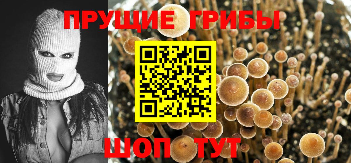 Псилоцибиновые грибы мицелий  Вход с VPN  Новокубанск 