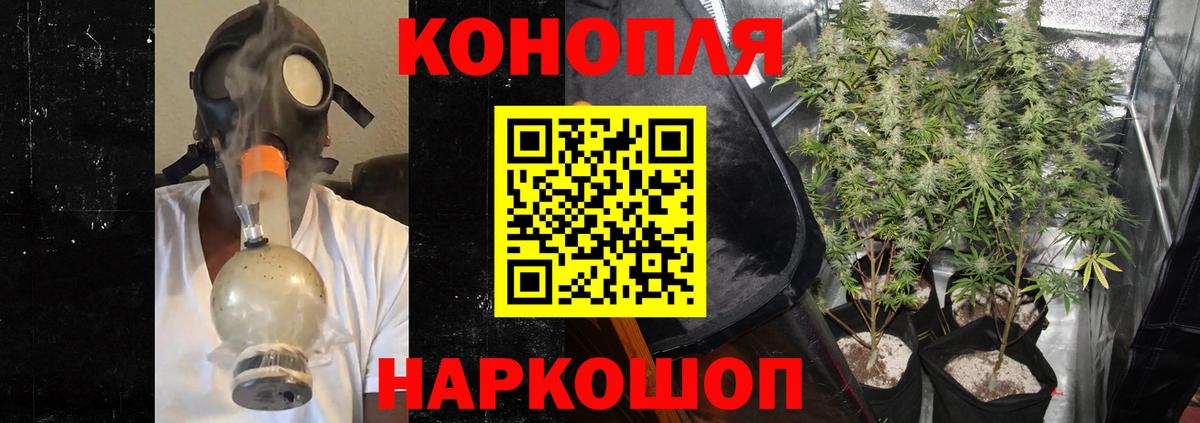Бошки марихуана VHQ  Вход с VPN  Новокубанск  Марихуана гибрид  Бошки марихуана индика 